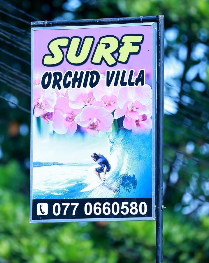 Surf Orchid Villa Weligama Exteriör bild